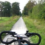 0309F 37 Radweg nach Celle hinein